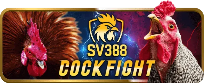 Đội ngũ hỗ trợ khách hàng 95win code sẵn sàng giúp đỡ