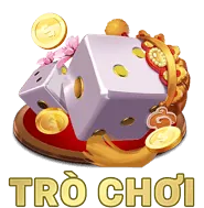 Biểu tượng tường lửa bảo vệ mạng